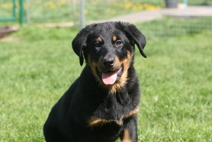 Quenza 09 04 2017 (47)